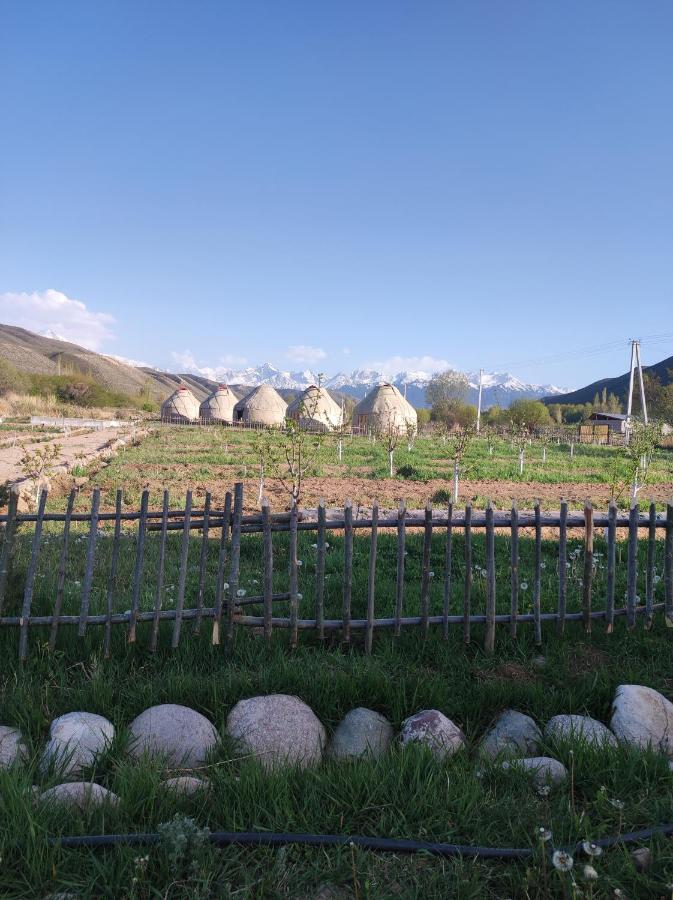 Eco Village Lodge Dzhetyoguz Esterno foto