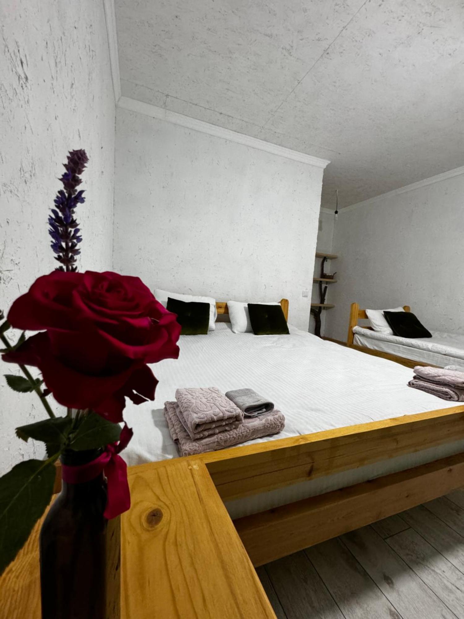 Eco Village Lodge Dzhetyoguz Esterno foto